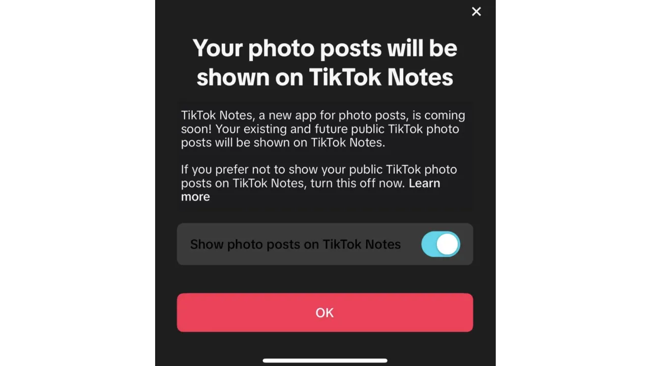 TikTok Introduces Potential Instagram Competitor