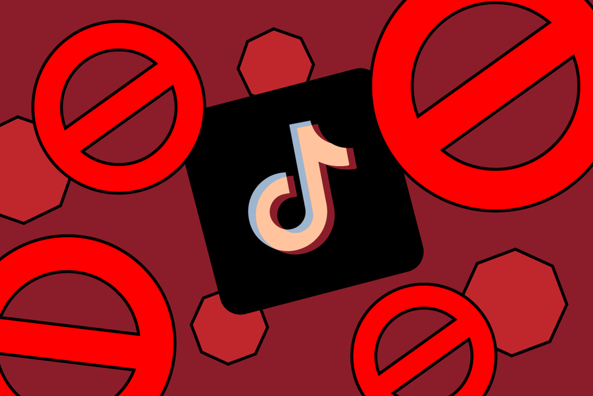 What does a TikTok Ban Mean for Different Industries?